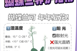 紫蝴蝶养殖指南（了解紫蝴蝶的特点和养殖技巧，打造美丽花园）