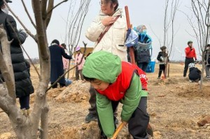 如何正确栽种树桩冬季保证生长（树桩冬季栽种技巧与注意事项）