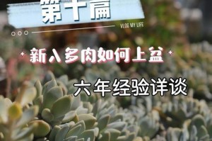 多肉植物（从幼苗到成熟，如何科学照料多肉植物？）