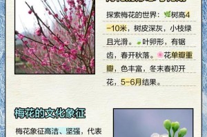 梅花生长期养护的关键要点（掌握合理浇水、施肥、修剪等技巧，打造健康美丽的梅花树）