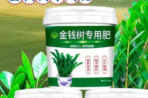 如何正确给金钱树施肥（金钱树施肥的注意事项和最佳方法）