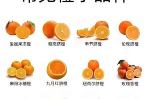 橙子究竟有没有籽？（探究橙子籽的好处与坏处，了解吃橙子的正确方法。）