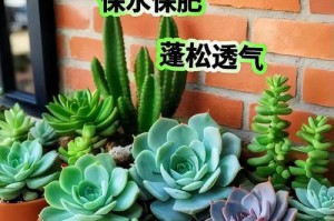 多肉浇水过多怎么办？（有效避免多肉过水的方法与措施）