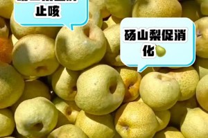 酥梨的神奇功效与作用（了解酥梨，走向健康）