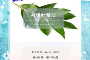 冬天月桂掉叶子的原因与处理方法（保护月桂树不受冬季环境影响的关键措施）