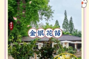 金银花的颜色变化之谜（解析金银花花朵的颜色转变过程与原因）