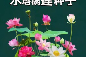 水中花的养护指南（以插在水里花怎么养？）