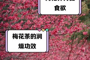 夏天梅花怎么花开了？（探秘梅花在酷暑中的奇迹）