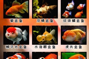 金鱼草的浇水频率和注意事项（掌握正确的浇水方法，让金鱼草健康成长）