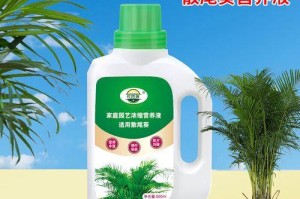 散尾竹叶尖发黄的处理方法（散尾竹养护要点及常见问题解决）