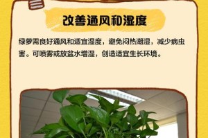 绿萝叶子下垂的原因及解决方法（绿萝叶子下垂，如何解决？）