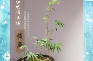 如何养护朱焦红竹（掌握关键技巧，让朱焦红竹健康茁壮）