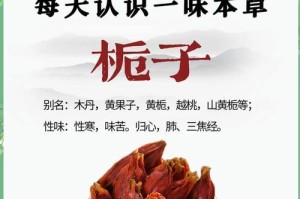 解决栀子叶子发黄问题的方法（如何有效预防和治理栀子叶子发黄问题）