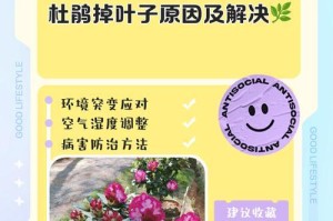 杜鹃花为什么冬天会落叶？（探究杜鹃花的落叶原因及其管理关键）