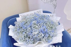 蓝色满天星花的魅力与调配方法（以蓝色满天星花为主题的独特花束与装饰品制作指南）