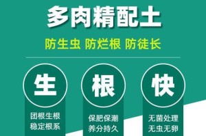 营养土种多肉，打造生机盎然（多肉爱好者必看！使用营养土种植多肉植物的最佳实践）