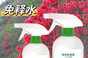 多肉植物防虫小技巧（掌握多肉植物防虫要点，让你的植物远离害虫困扰）