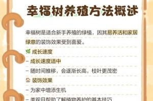 以家养的幸福树如何正确施肥？
