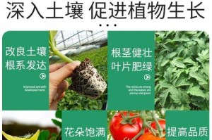 盆栽花草施磷肥的技巧（以盆栽怎么施磷肥，让花草茁壮成长）