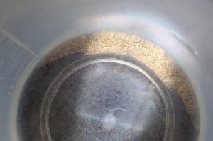 如何清理碗里的白虫子（简单有效的方法让你远离碗中白虫子）
