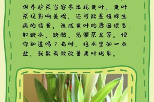 如何挽救发黄的财竹，让财运高涨（水插法是最佳方案，关键在于细心呵护）