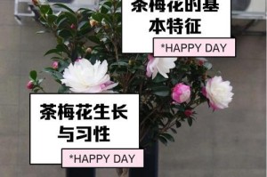 茶梅叶子出现黑斑的原因及处理方法（解析茶梅叶子黑斑的成因与应对之策）