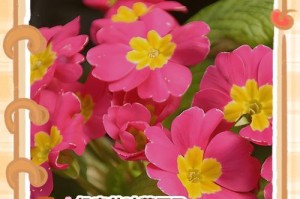 枯萎的叶子（干枯的叶子探秘——叶子枯萎的原因和防治方法）