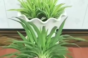 吊兰枯萎怎么办？挽救枯萎吊兰的方法大全（教你如何修复枯萎的吊兰，让它重新焕发生机）