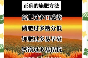 花卉施肥过量的应对方法（解决花卉施肥过量的实用技巧）