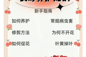 长寿花总有密的奥秘（揭开长寿花总有密的种植之道与养护经验）