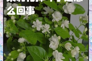 花叶下垂的原因与修复方法（揭秘花叶下垂的真相，掌握神奇补救技巧）