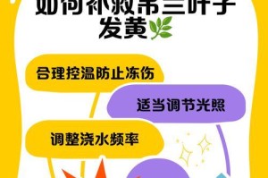 白兰花夏季叶子晒枯的原因及处理方法（白兰花叶子干枯的原因、有效防治方法及护理技巧）