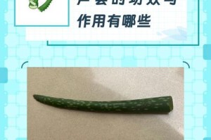 芦荟叶变扁的原因及处理方法（探究芦荟叶为何会变扁，以及保护芦荟叶的有效方法）