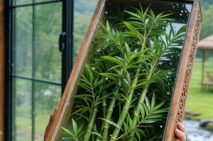 盆栽肥料的必要性及正确使用方法（盆栽肥料的选择与施用技巧）