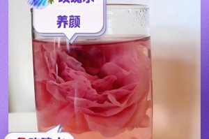 夏天玫瑰花浇水频率与技巧（每周浇一次水，充足的排水和适宜的温度是关键）