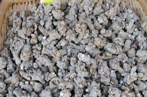 三七的适宜种植条件及栽培要点（选择土壤、气候和栽培技术是种植三七的关键）