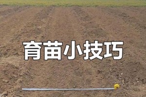 以育苗盆怎么上土？（一步步教你正确上土种植！）