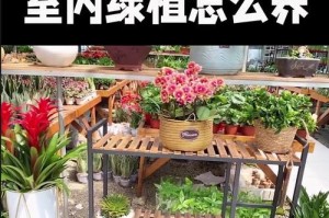 室内花卉移栽的养护要点（为您解析刚移栽室内花卉如何科学养护）