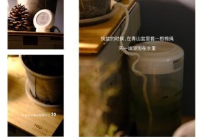 冬天栽培铁线蕨的方法与注意事项（打造室内绿色植物园-以铁线蕨为例）