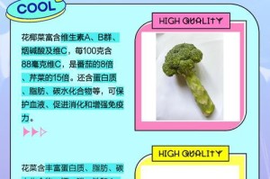 黄花菜的生长周期（探秘黄花菜生长周期及其特点）