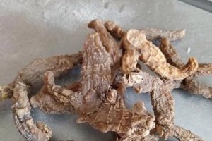黄精亩产量究竟有多少？（通过调查研究计算得出亩产量，为您解答疑问。）