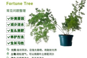 养护大叶竹的秘诀（打造绿意盎然的家居环境，大叶竹养护全攻略）