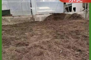 进口泥炭土的处理方法（提升土壤肥力的关键措施）