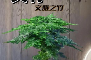 如何正确培育文竹新苗（培育新苗的关键步骤与技巧）
