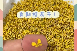 花朵烘干的方法及技巧（掌握正确的烘干方式，保存美丽花卉）