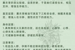 如何处理忘记给薰衣草加肥料的问题（补救方法及关键事项）