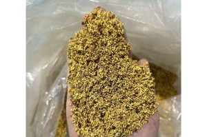 桂花干花的制作方法与效果（探索桂花花朵的干燥过程及其应用价值）