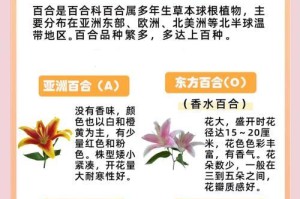 百合花养护与管理指南（打造盛开绽放的百合花园）