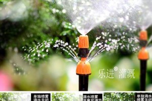 自动浇水布条的设计与应用（简化植物浇水过程，提高养植效率）