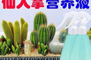 仙人掌如何防止发黄变烂？（养护技巧，让你的仙人掌长盛不衰）